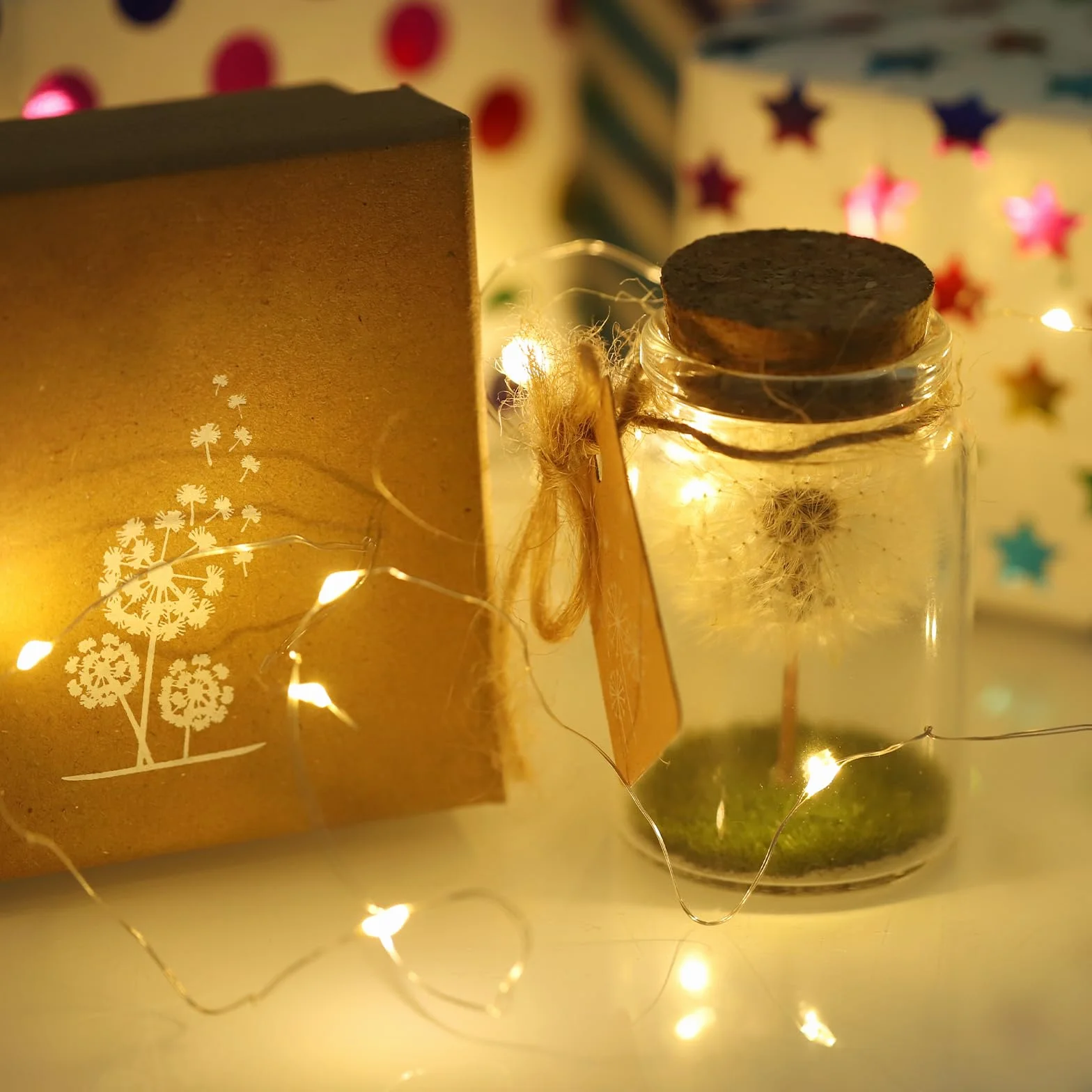 JIZZU Verdadero Diente de León en un Frasco con Cordel de Luz, Regalo Original