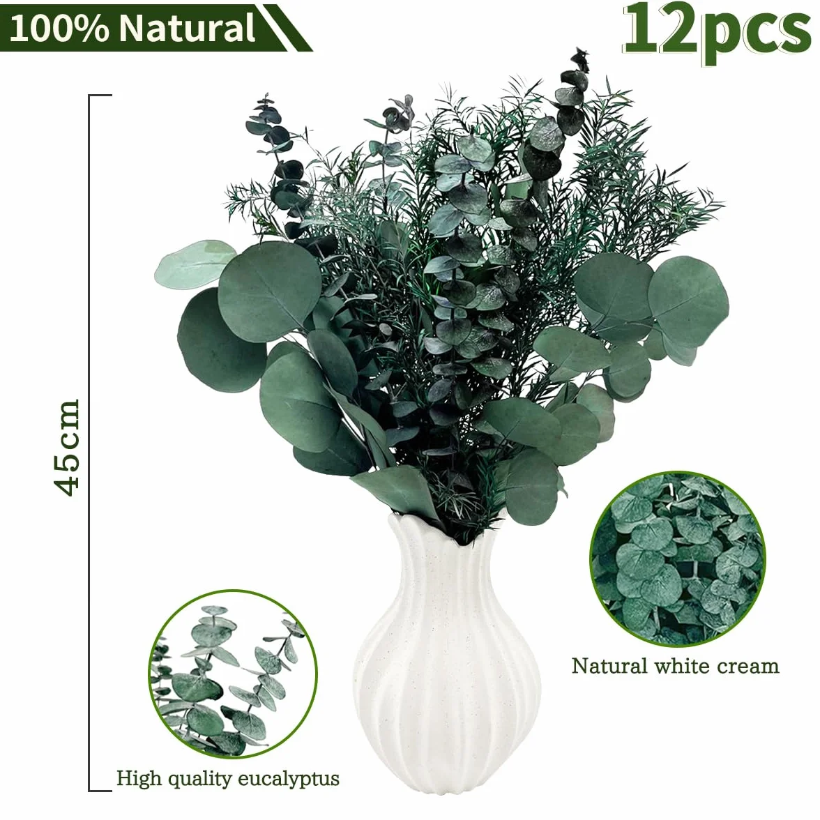 Flores secas preservadas de eucalipto real, tallos y ramas, 3 tipos, arreglos florales