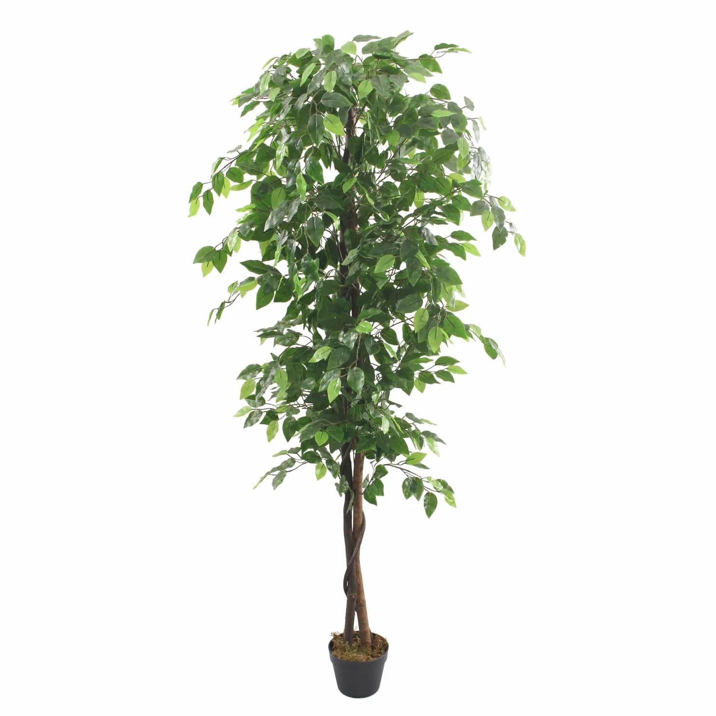 Bonerva | Ficus Nature 180 cm Altura | Planta Artificial con Tronco Natural | Ideal para Decorar Interiores: hogares, Negocios y hoteles