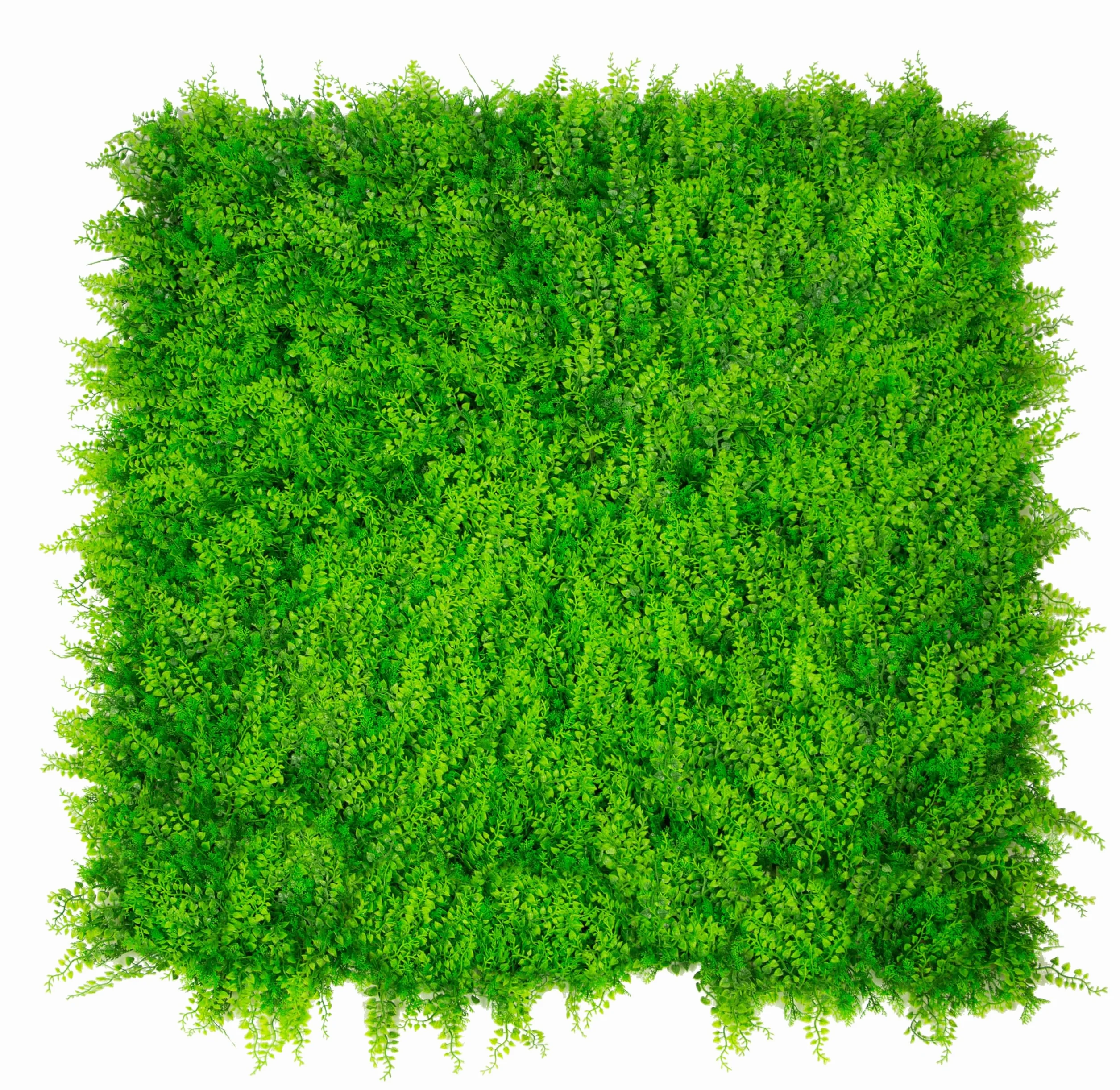 Seto Decorativo, Jardín Vertical/Planta Artificial para decoración de Pared en Interior, Terraza, Jardín o Balcon o Cualquier Espacio | 100 x100 cm (1m2) (Helecho MAX)