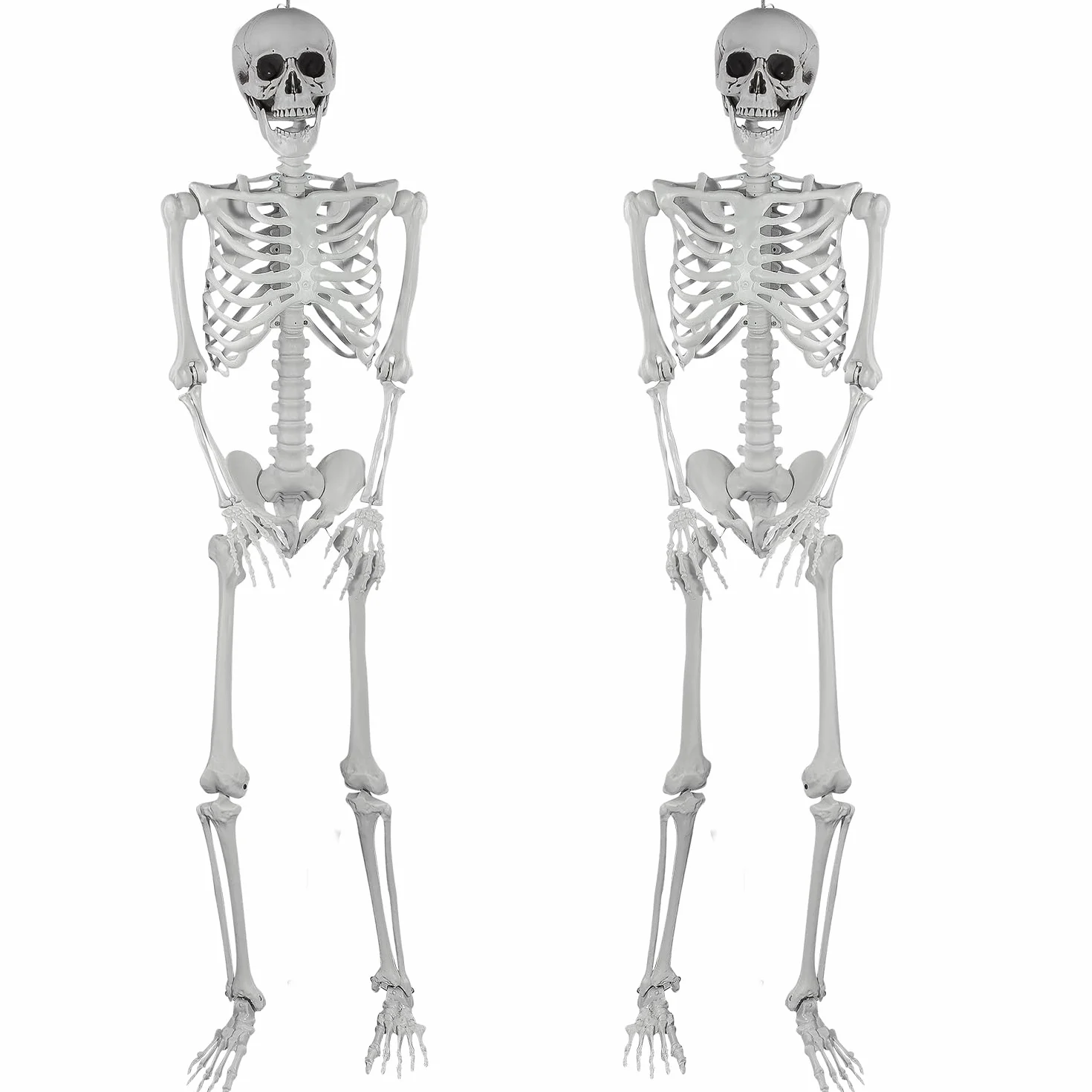 165cm Halloween Esqueleto de plástico Esqueleto Humano de tamaño Natural con Las articulaciones móviles para la decoración de la Fiesta de Halloween, 2 Piezas