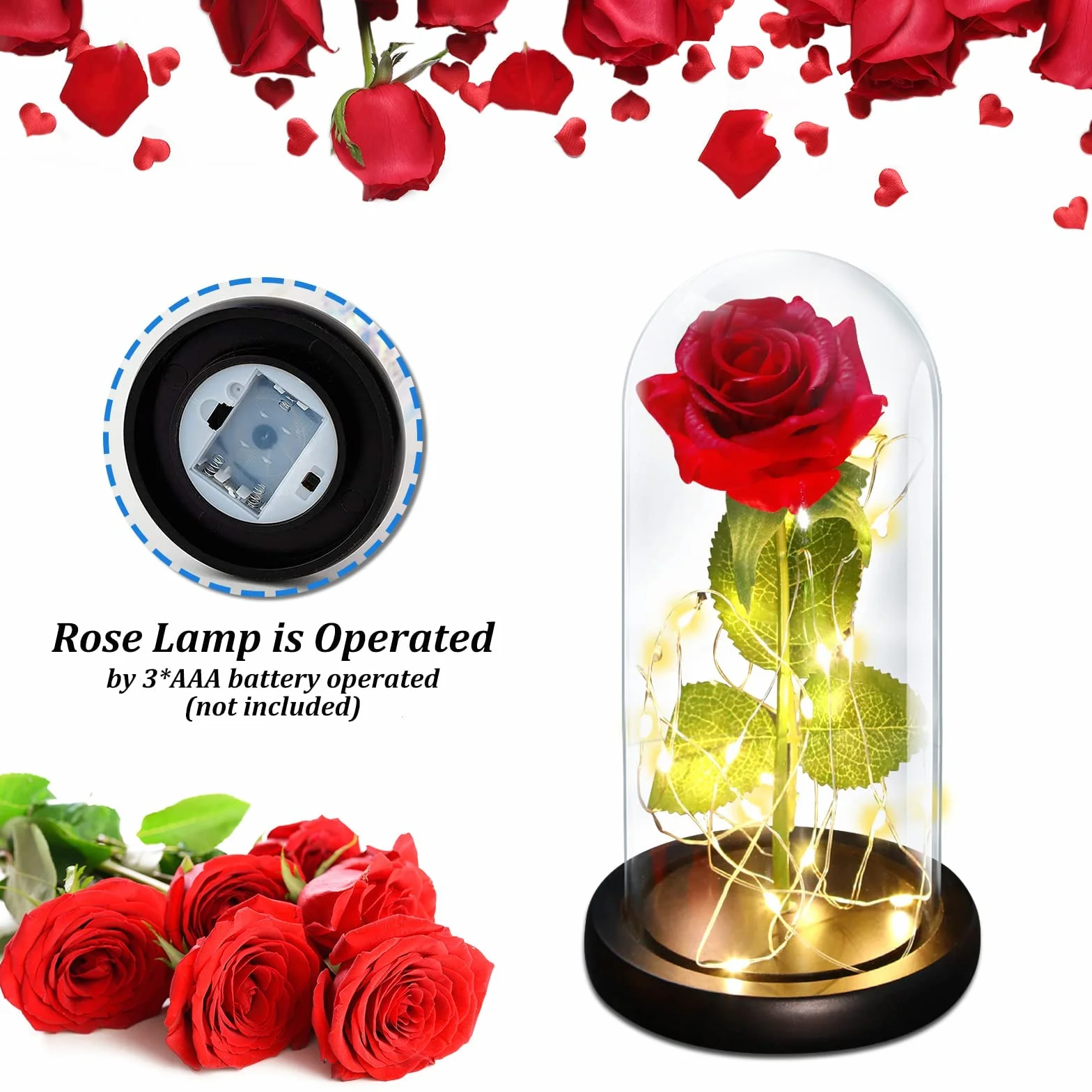 Rosa Eterna Kit Elegante con Cúpula de Cristal Base Pino Luces LED Tarjeta de Felicitación Bella y Bestia