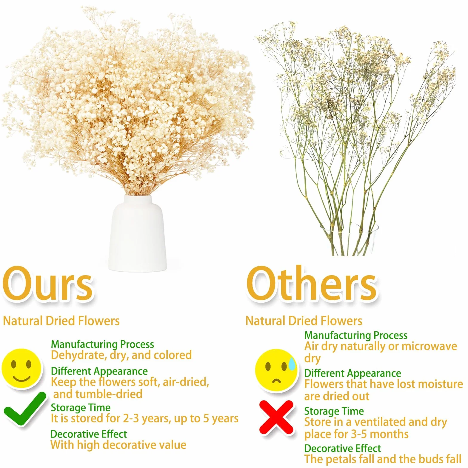 Ramo de Flores Secas Naturales Gypsophila Paniculata 43cm 3500+ Flores Blanco Marfil