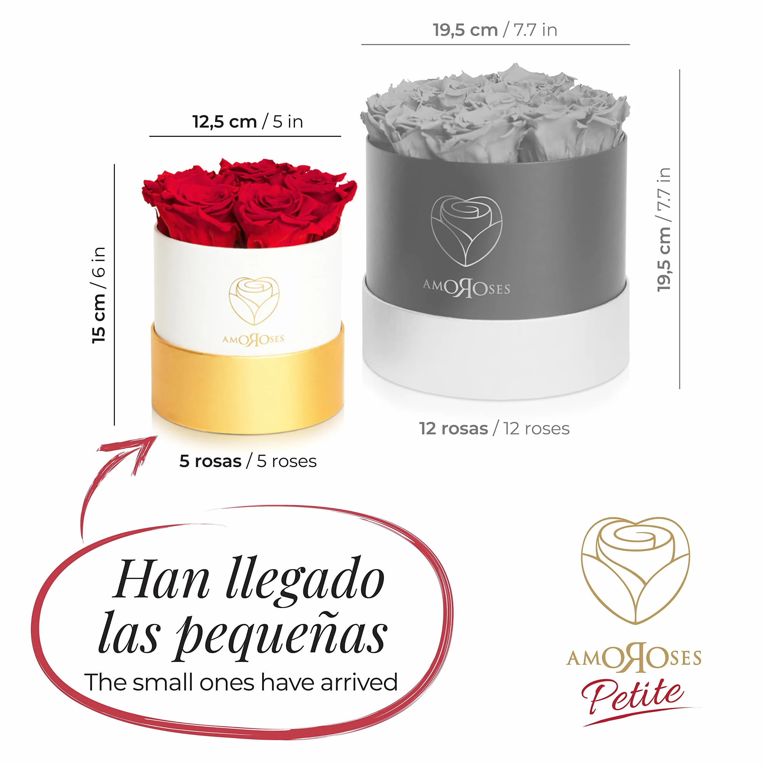 Amoroses Petite - Caja de Regalo 5 Rosas Eternas Estabilizadas - Elegante Ramo de Flores Reales | Idea de regalo (Petite Caja Blanca con Rosas Rojas)