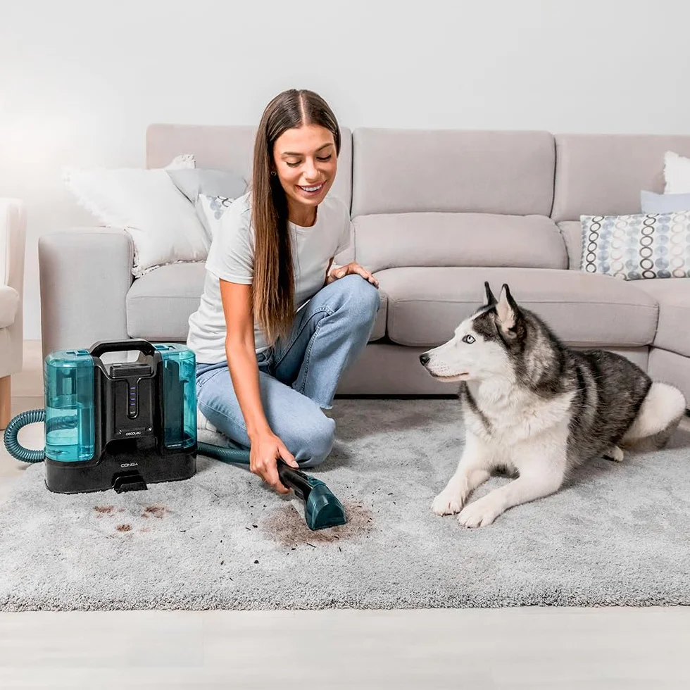 Cecotec Limpiador Aspirador de Tapicerías y Alfombras sin Cable Conga Carpet&Spot Clean Infinity. 150W, 2 Baterías Intercambiables, Autonomía 60Mins, Pulverizador de Agua y Accesorio Limpia Ventanas