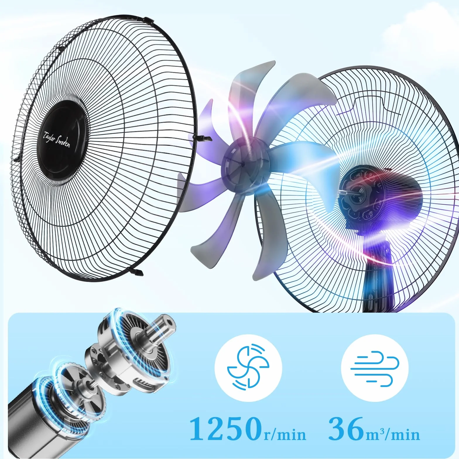 Taylor Swoden 7 Aspas Ventilador de pie Potente, 3 Velocidades, 50W Ventiladores, Altura Regulable, Oscilante, Rejilla de Seguridad, Base Estable, Negro, 43x40x120cm, *2
