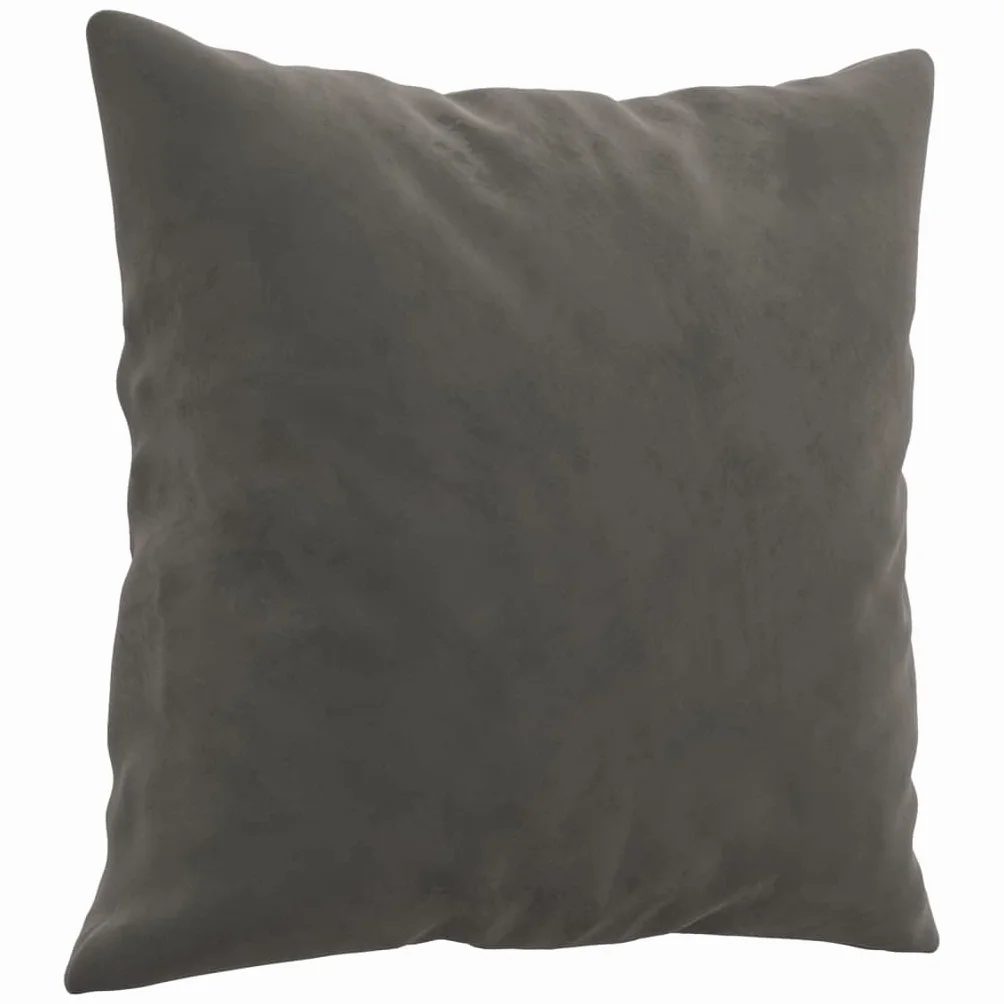 Juego de 2 cojines decorativos de terciopelo gris oscuro, 40 x 40 cm, para salón, dormitorio, sofá, cama, sillón, moderno, mullido, con cremallera, lavables