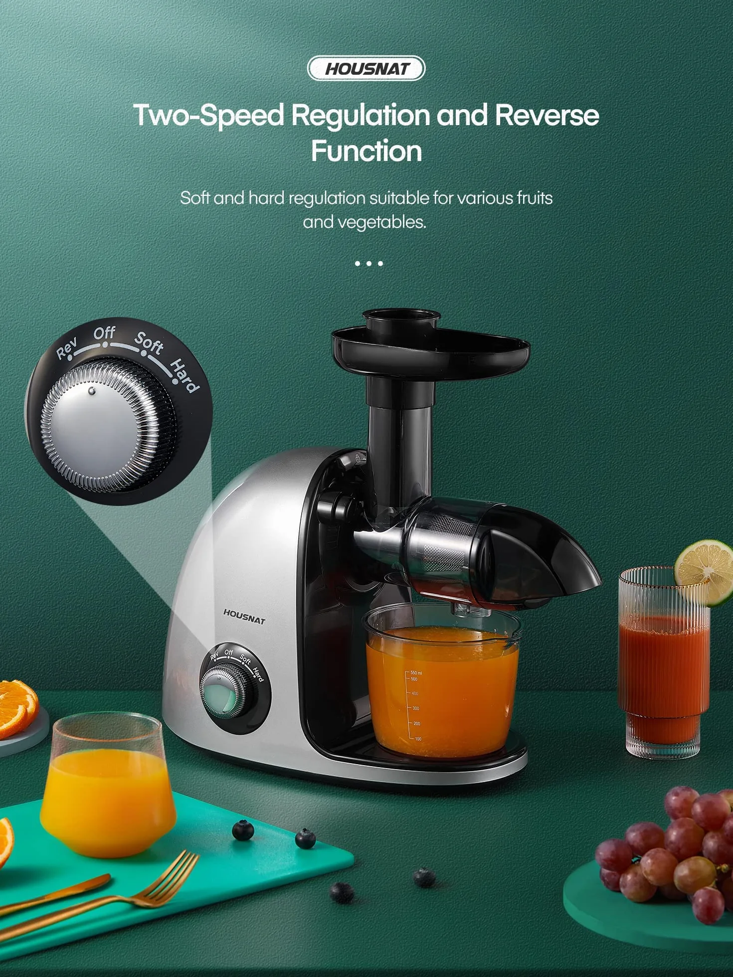 Housnat Licuadora Prensado en Frio, Extractor de Zumos con 2 Velocidades, Motor Silencioso