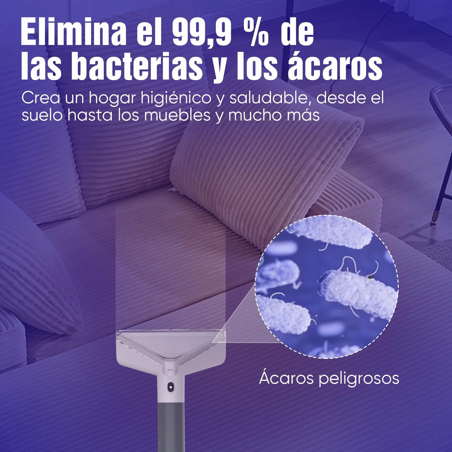 Aspiradora de Agua Tapicería - 2500W 20kPa Limpiador de Tapiceríascon Vapor Caliente,alfombras, moquetas para aspiradora y desmontador para colchón compacto y portátil
