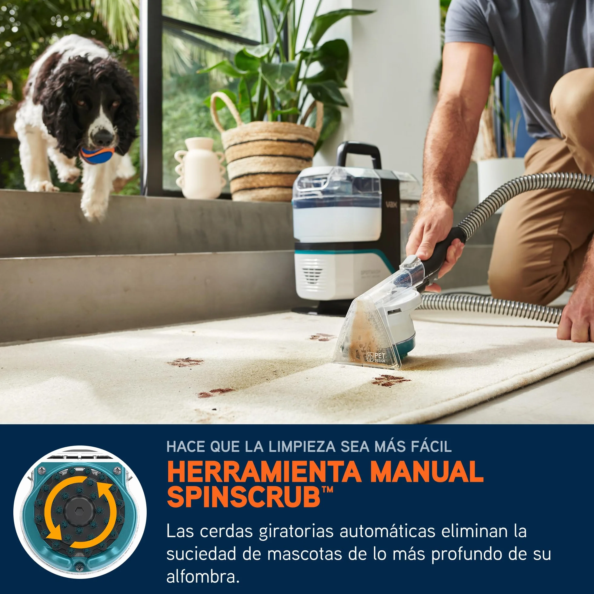 Limpiador quitamanchas Vax SpotWash Max Pet-Design, potente quitamanchas para alfombras y tapicerías con tecnología SpinScrub, depósito XL, limpieza profunda para mascotas, sofás