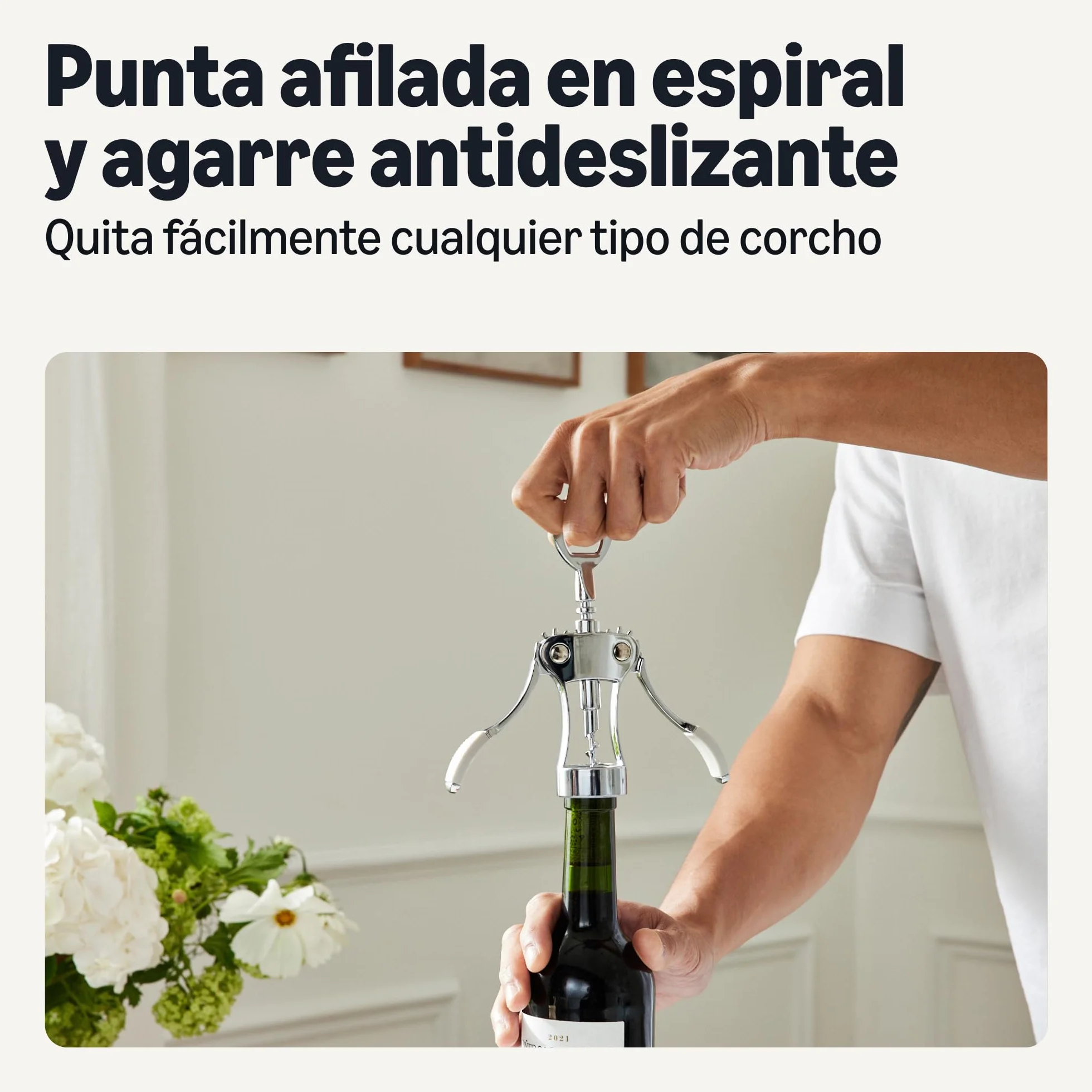Amazon Basics Sacacorchos y Abrebotellas 2 en 1, Aleación de Zinc