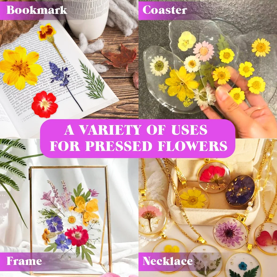 Flores Secas Naturales y Prensadas Coloridas 120 Piezas con Pegatinas de Mariposa 30 Piezas para DIY Joyería Velas Resina Scrapbooking