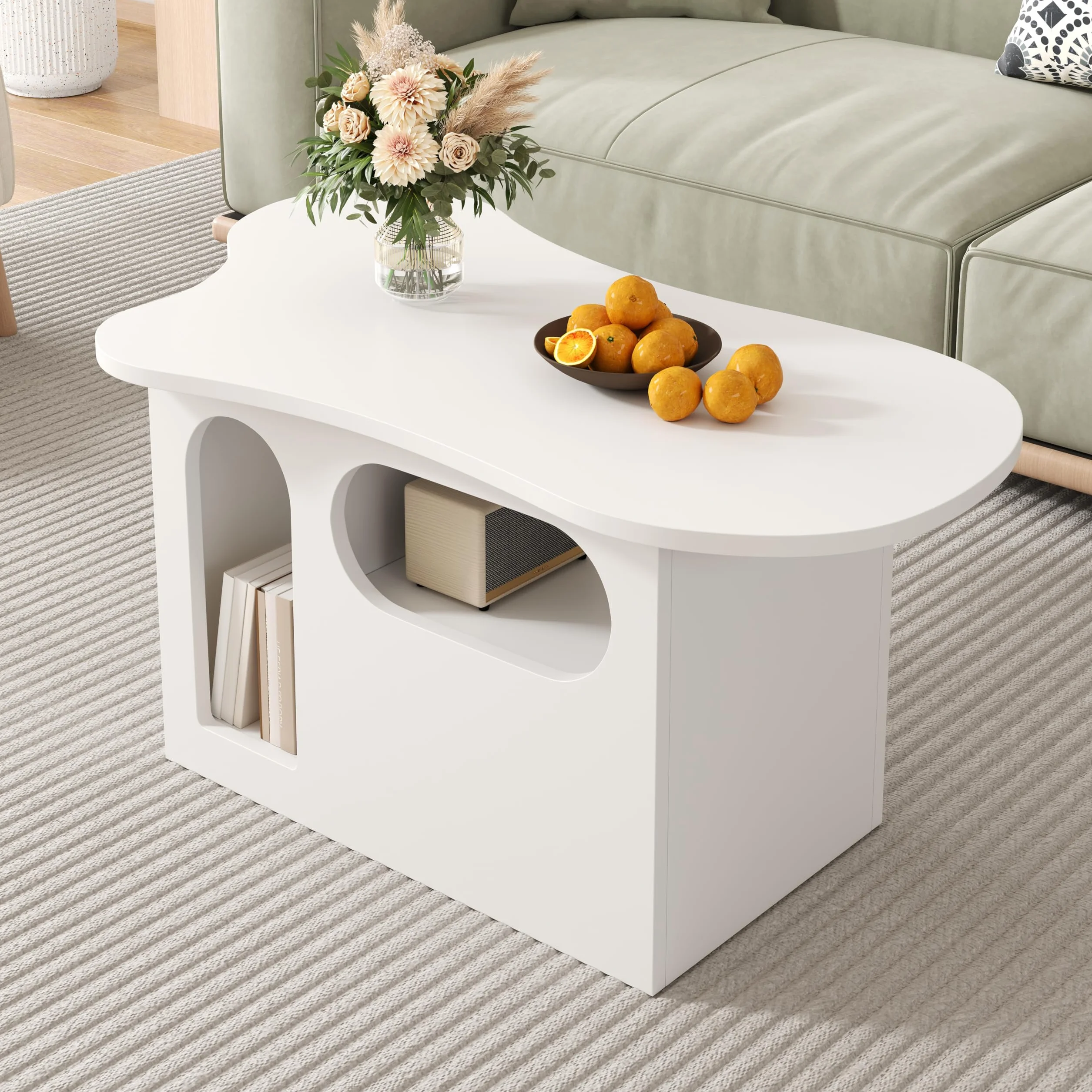 Fasba Mesa de Centro en Forma de Nube con Almacenamiento, Ideal para familias con niños y Mascotas Modelo FCLYD-N621P287654W