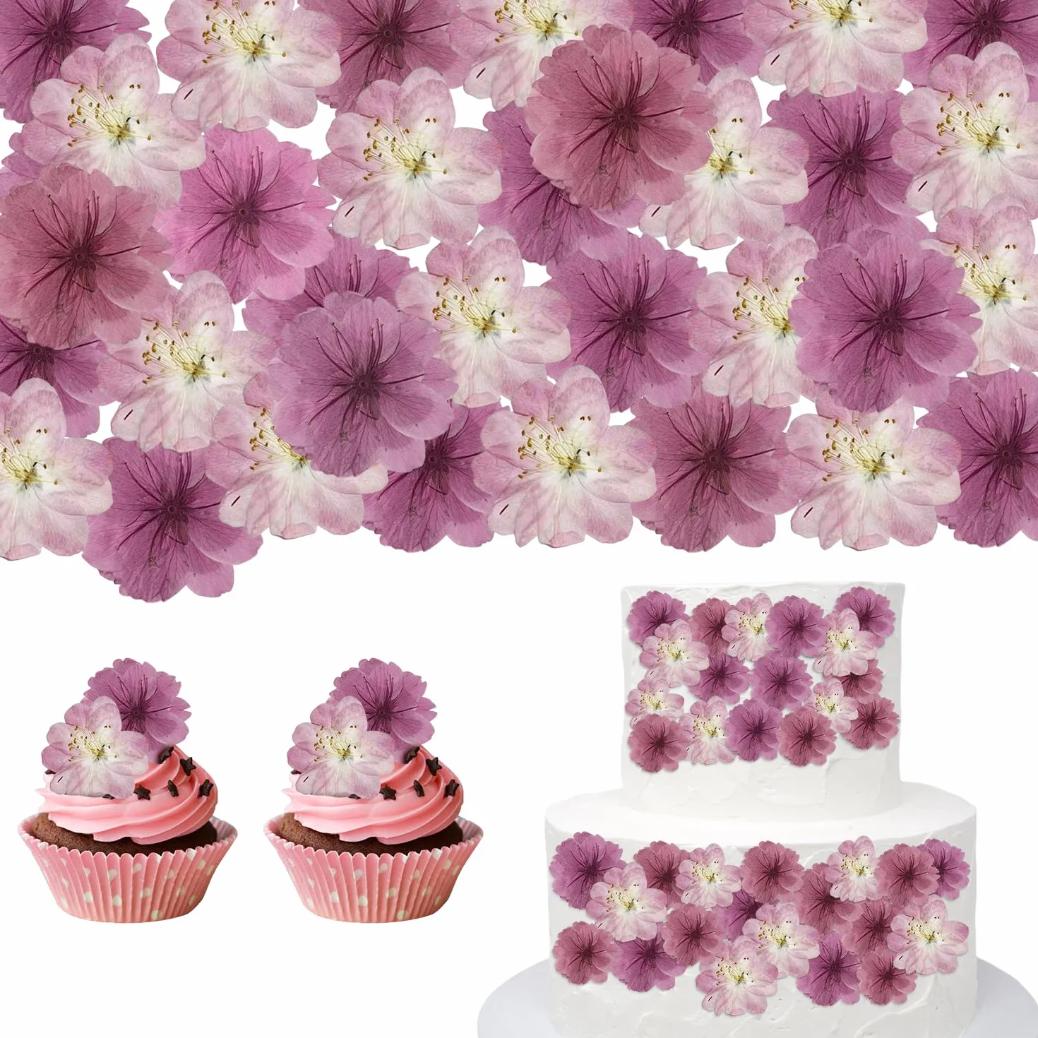 Flores Secas Naturales Sakura Cerezo 48 Uds. Decoración Pasteles Cupcakes Cócteles