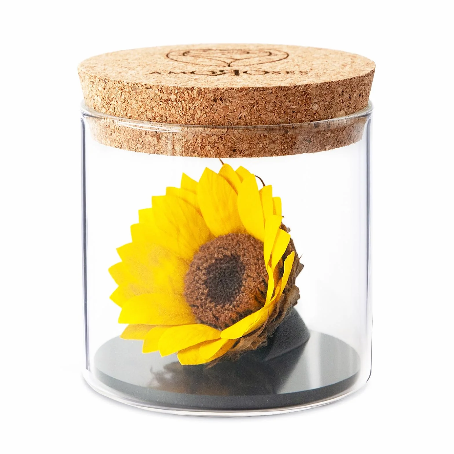 Amoroses Sunflo – Girasol estabilizado flor eterna en tarro de cristal | Idea regalo