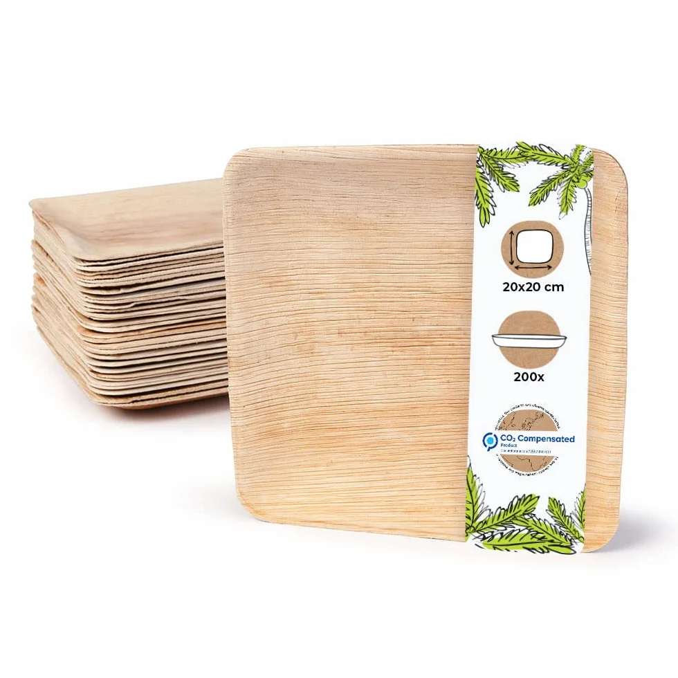 BIOZOYG 200x de platos de hoja de palma 20 x 20 cm - Platos desechables compostables y naturales - Vajilla de fiesta cuadrada