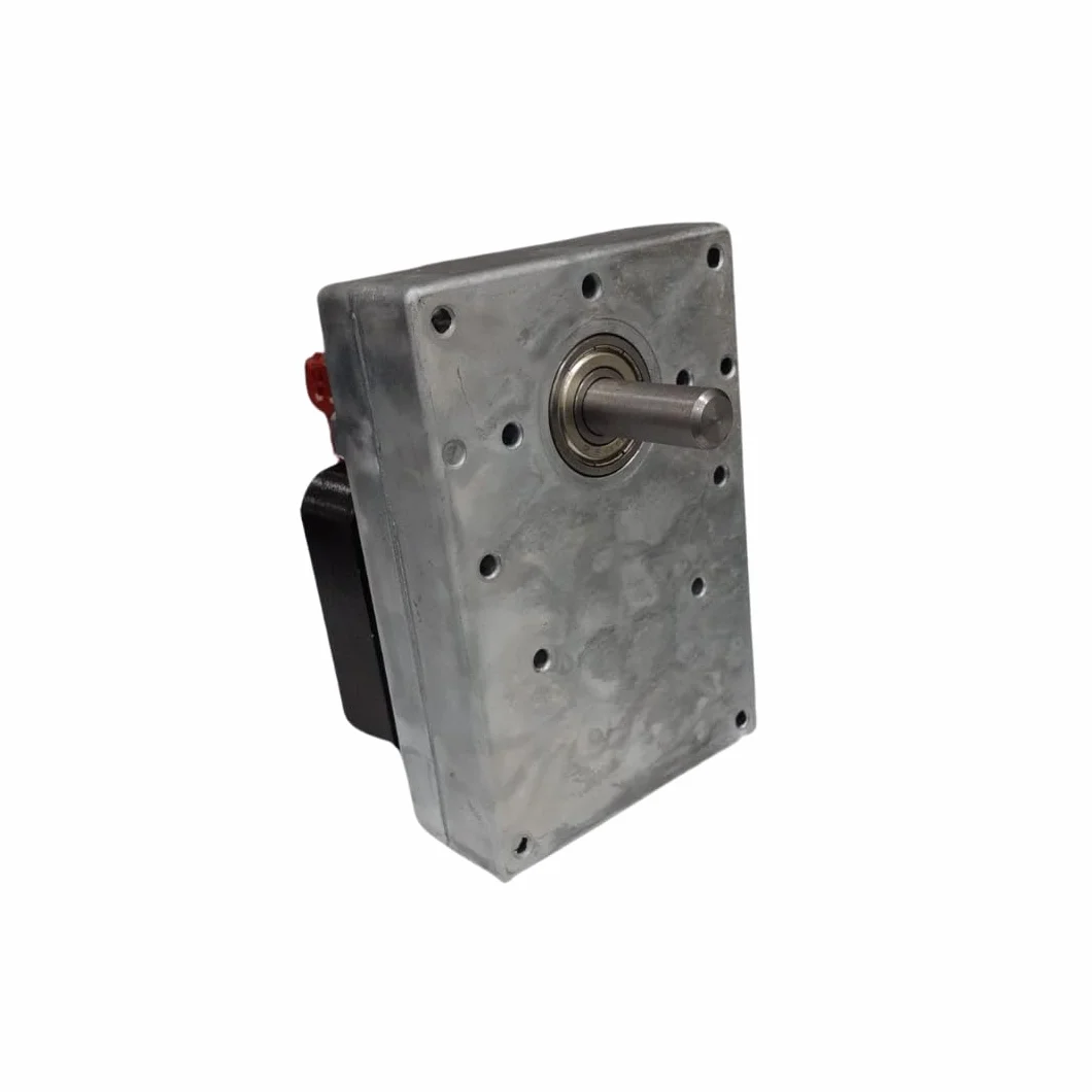 Velocidad de rotación del motor de transmisión: 1 rpm, diámetro del eje: 9,5 mm, para estufas de pellets y estufas de pellet.