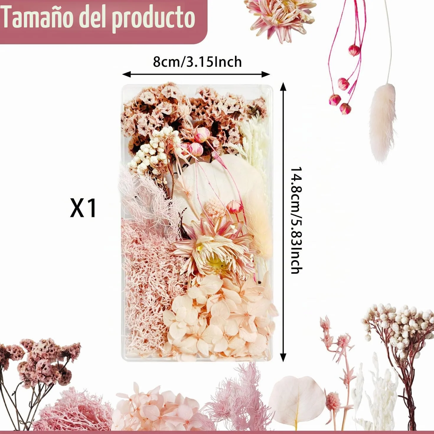 Flores Secas Naturales Preservadas para Manualidades Decoración DIY (Rosa)