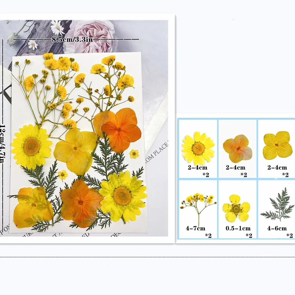 Flores Secas Naturales Mixtas 72 Piezas Kit para Resina Scrapbooking DIY