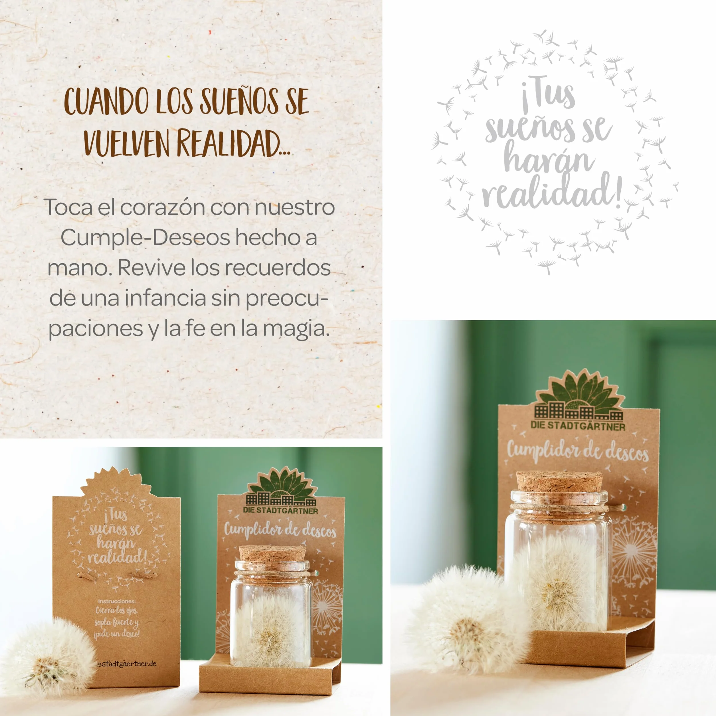 Diente de León Preservado en un Frasco Regalo Creativo
