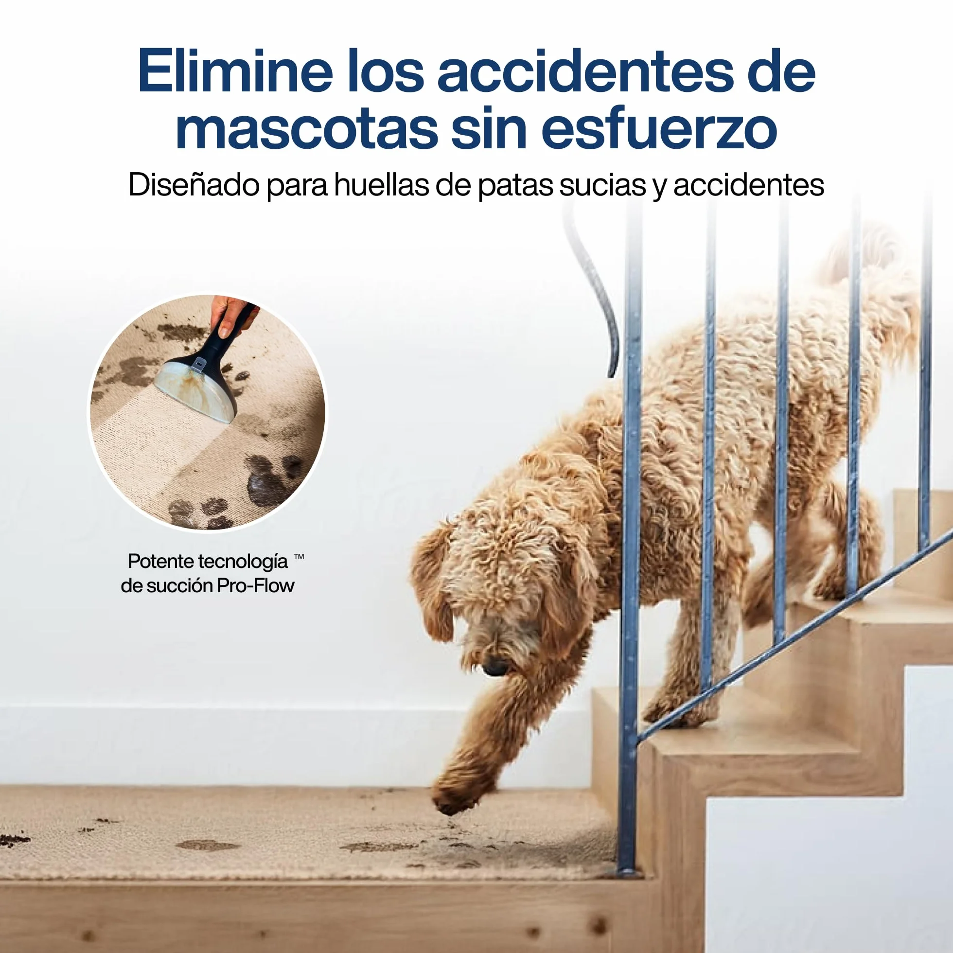Samako PowerClean Pro 2000W, Limpiador de Alfombras y Tapicerías con Vapor, 8 Accesorios, Grandes Depósitos de Agua, Limpia Sofás, Colchones y Asientos