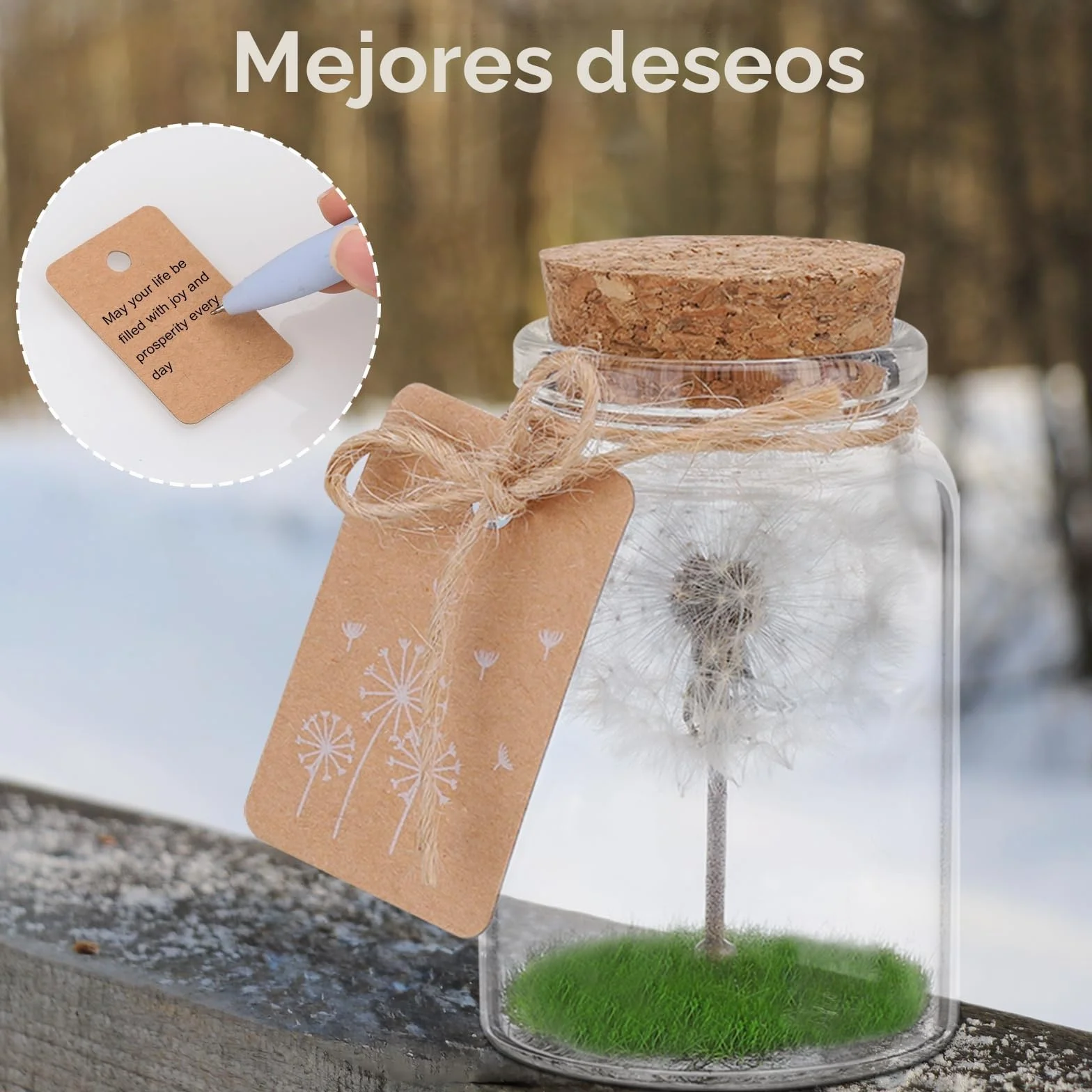JIZZU Verdadero Diente de León en un Frasco con Cordel de Luz, Regalo Original