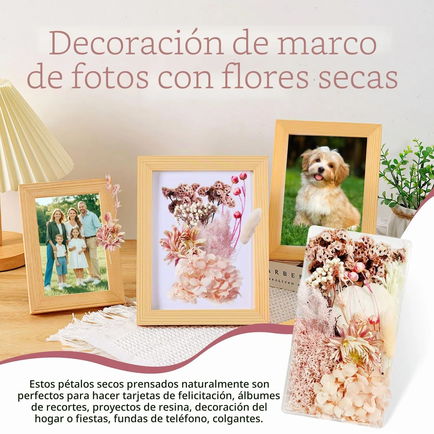 Flores Secas Naturales Preservadas para Manualidades Decoración DIY (Rosa)
