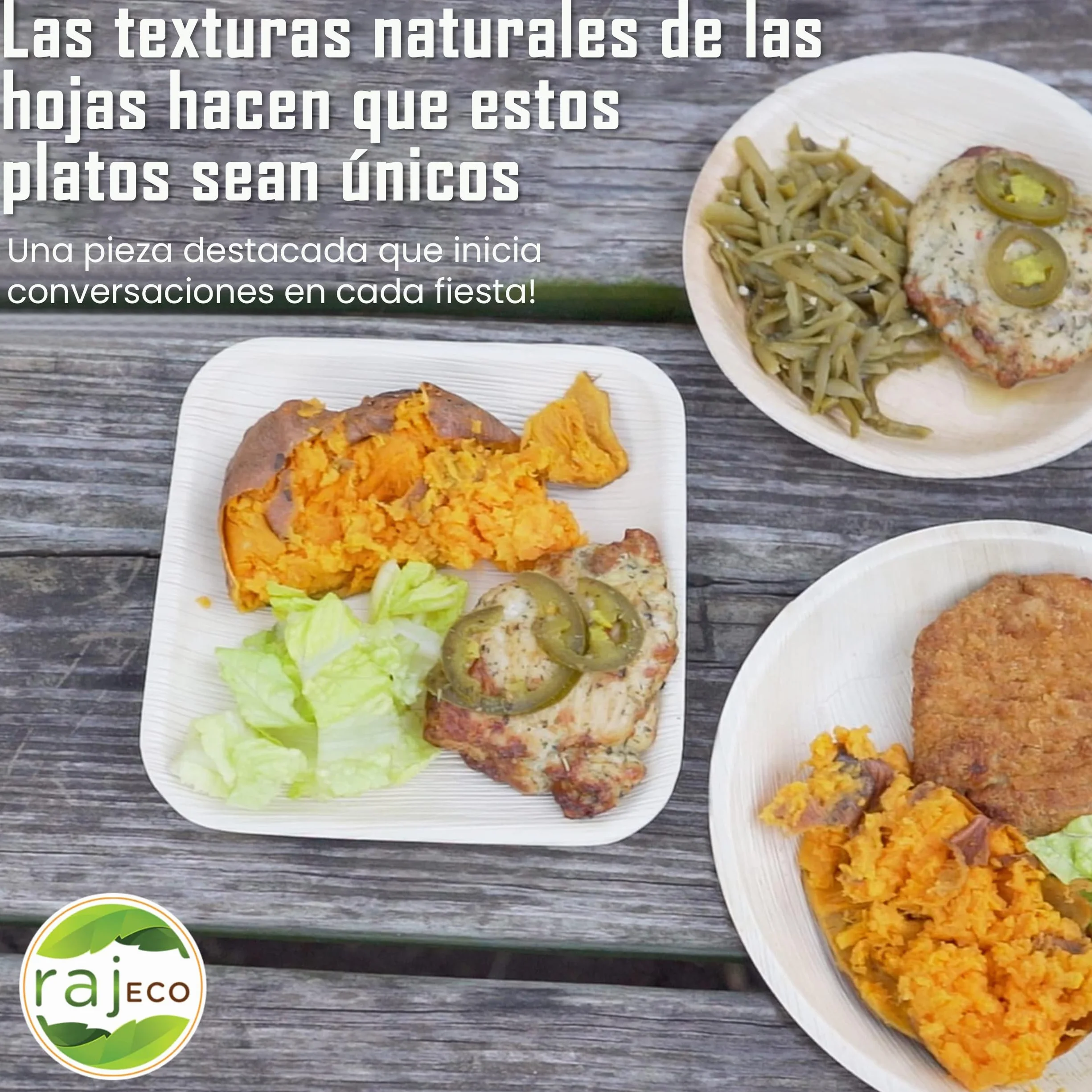 Raj Platos de Hoja de Palma 25 piezas 25 cm redondos | Desechables, resistentes y compostables - Vajilla decorativa para bodas, cumpleaños, camping, BBQ y picnic