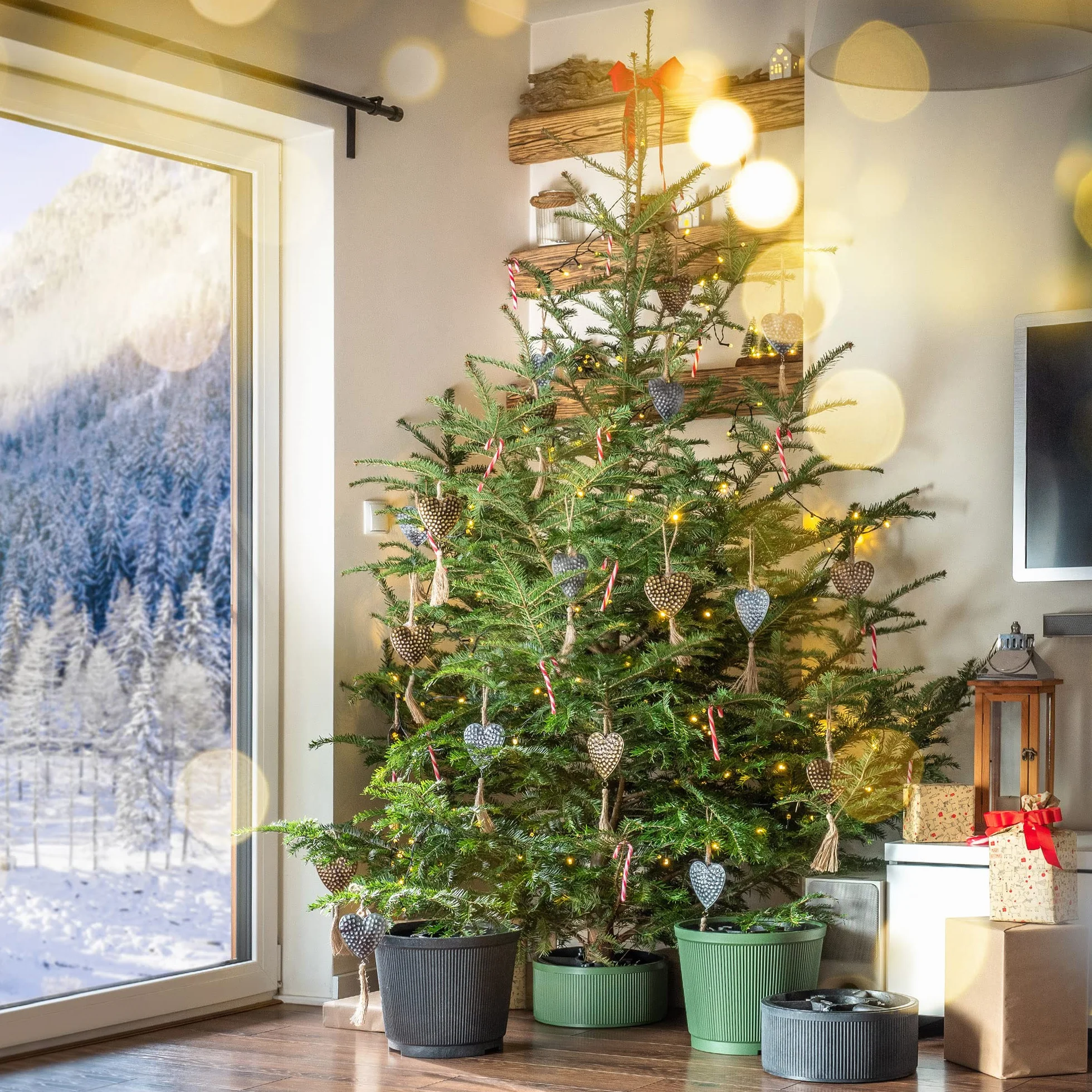 KADAX Soporte para árbol de Navidad, soporte de plástico para árbol de vacaciones, base resistente con depósito de agua para árbol de Navidad real, soporte decorativo para árbol de Navidad (verde, 10