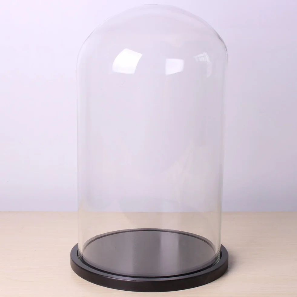 Expositor de cúpula de cristal con base de madera, base negra, vitrina para decoración del hogar, plantas y coleccionables, 20 cm x 35 cm, protección elegante para tus artículos