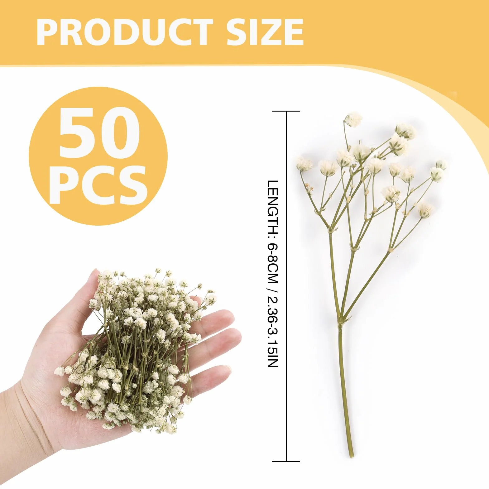 Gypsophila Blanca Natural Flores Secas Prensadas 50PCS para Decoración Joyería Manualidades Resina Tarjetas