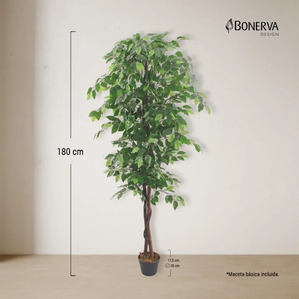 Bonerva | Ficus Nature 180 cm Altura | Planta Artificial con Tronco Natural | Ideal para Decorar Interiores: hogares, Negocios y hoteles