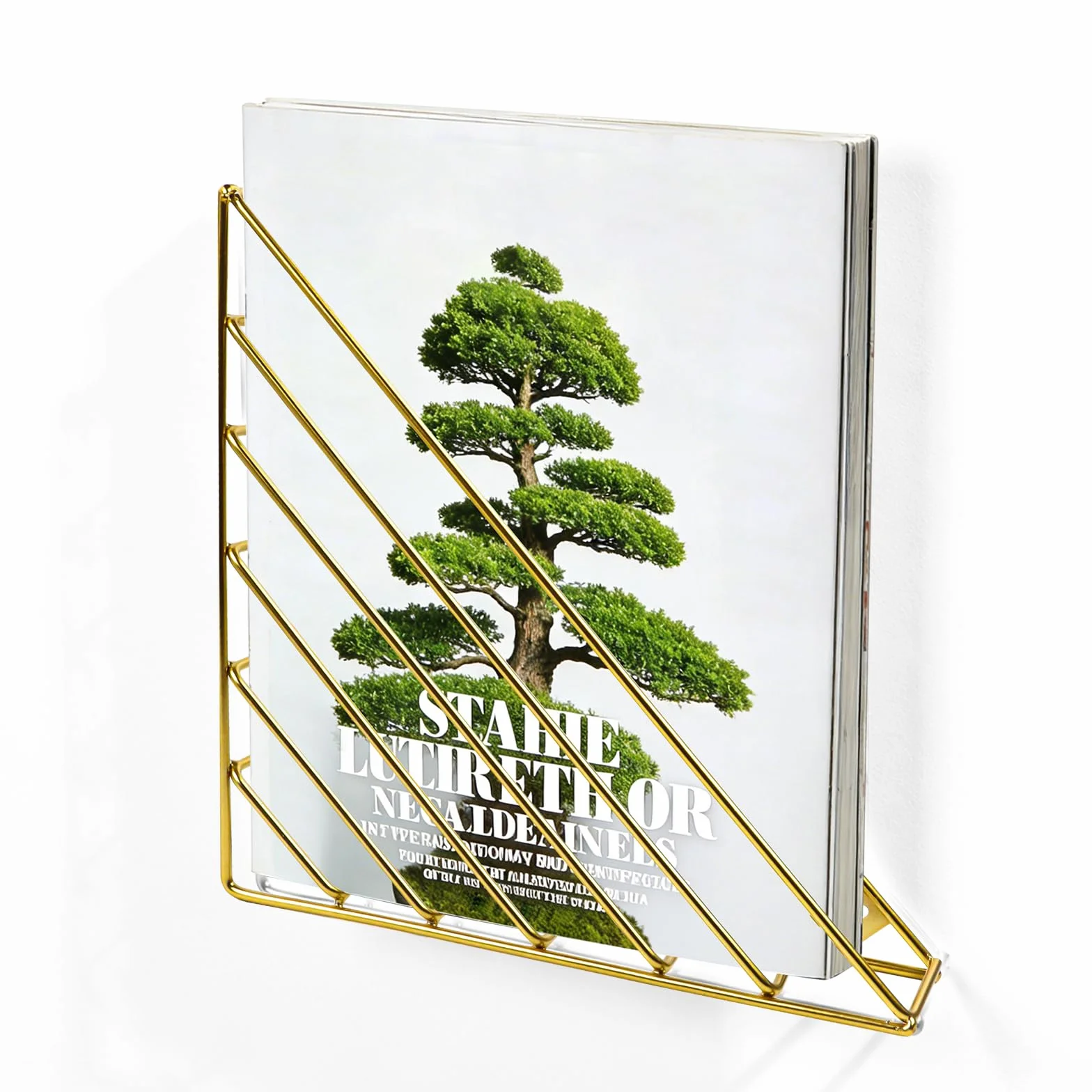 Organizador de Pared Triangular de Metal para Revistas con Tornillos, Dorado