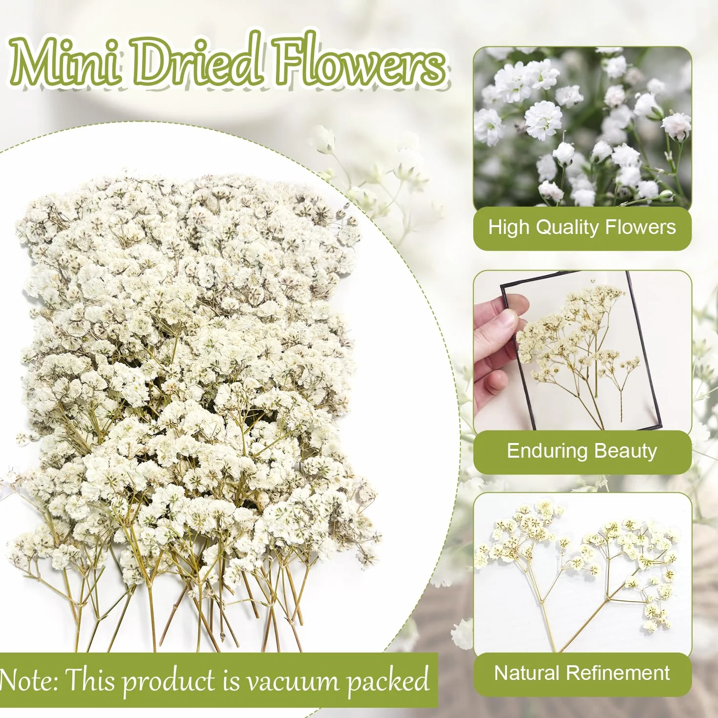 Flores Secas Pequeñas Naturales Paniculata Preservada Blanco para Joyería de Resina y Bricolaje 100 Piezas