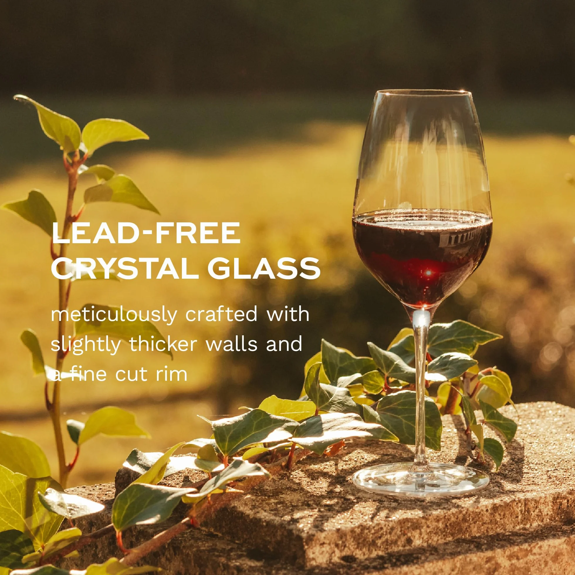 Stölzle Lausitz Juego de 6 copas de vino tinto modernas, elegantes y ligeras