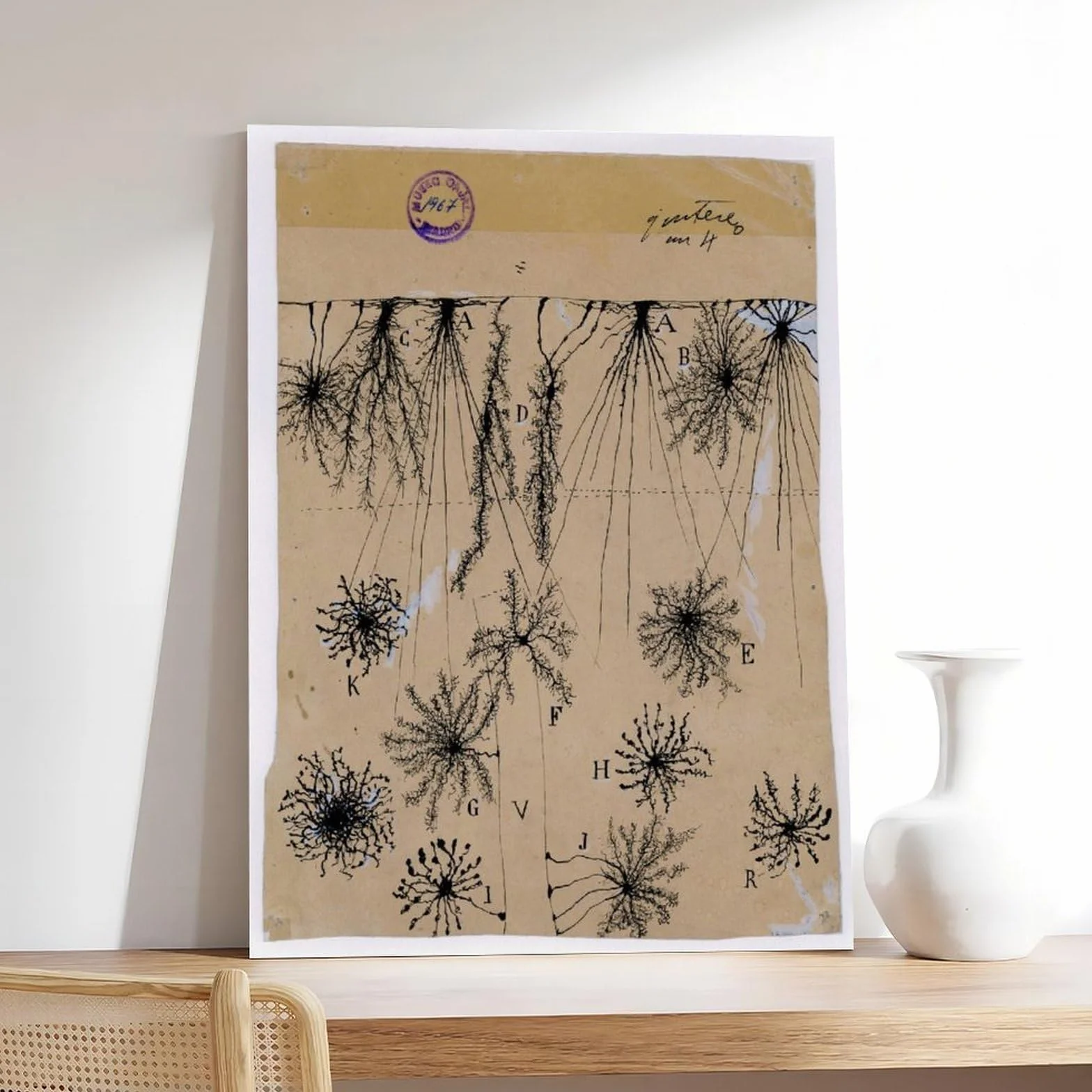 Cuadro de neuronas Cajal – Póster de anatomía cerebral antigua de células gliales para dormitorio, lienzo para decoración de pared, oficina, habitación, decoración estética, marco de regalo, 12 x 18