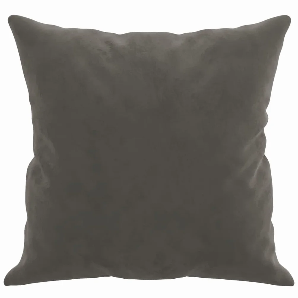 Juego de 2 cojines decorativos de terciopelo gris oscuro, 40 x 40 cm, para salón, dormitorio, sofá, cama, sillón, moderno, mullido, con cremallera, lavables