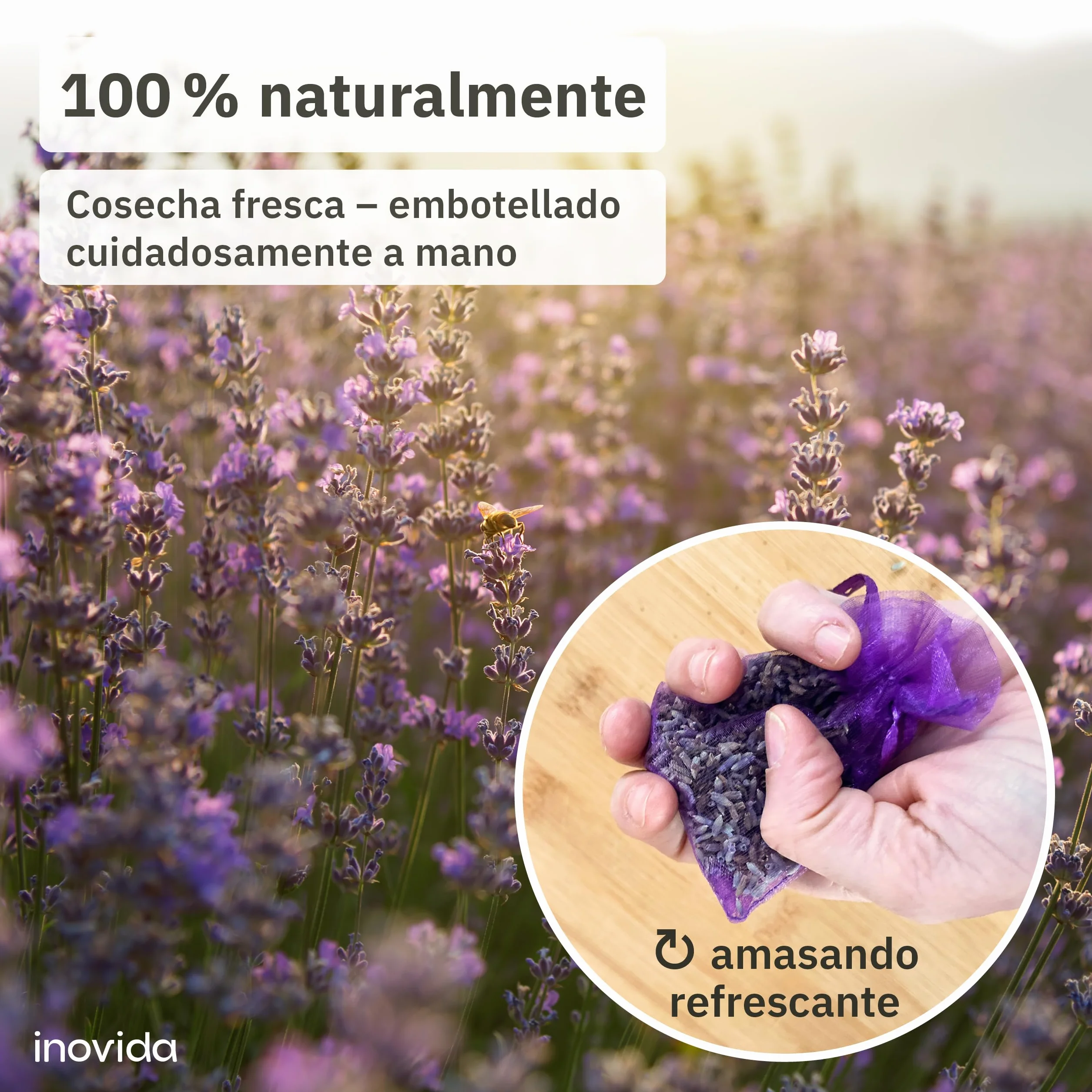Bolsitas Lavanda para Ropa Ambientador de Armario Antipolillas 20x Lavanda Seca Natural Inovida