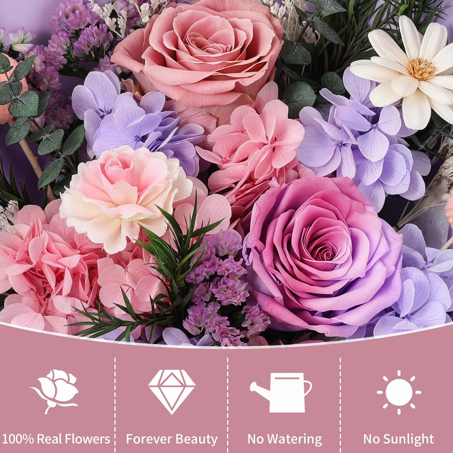 Lewondr Ramo de Flores Conservadas con Jarrón – 2 Rosas y Flores Reales, Morado
