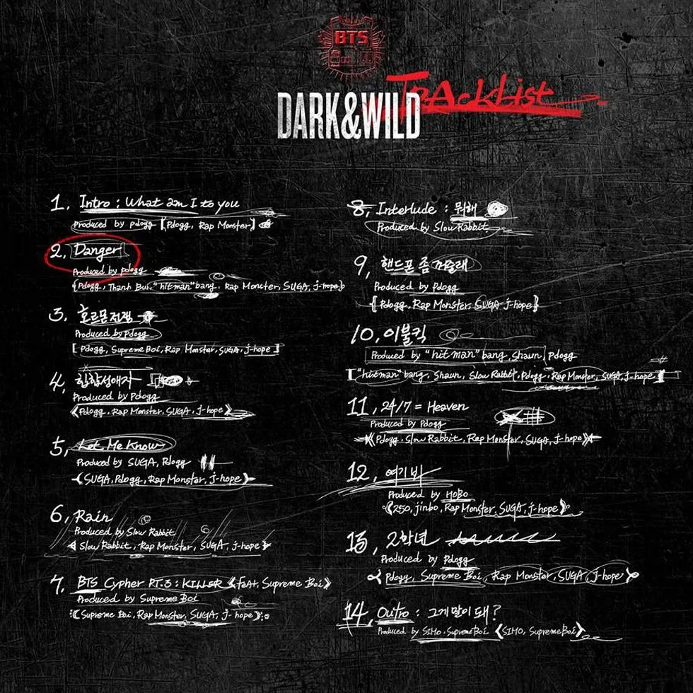 BTS Dark and Wild The 1st Album CD Photobook Photocards
