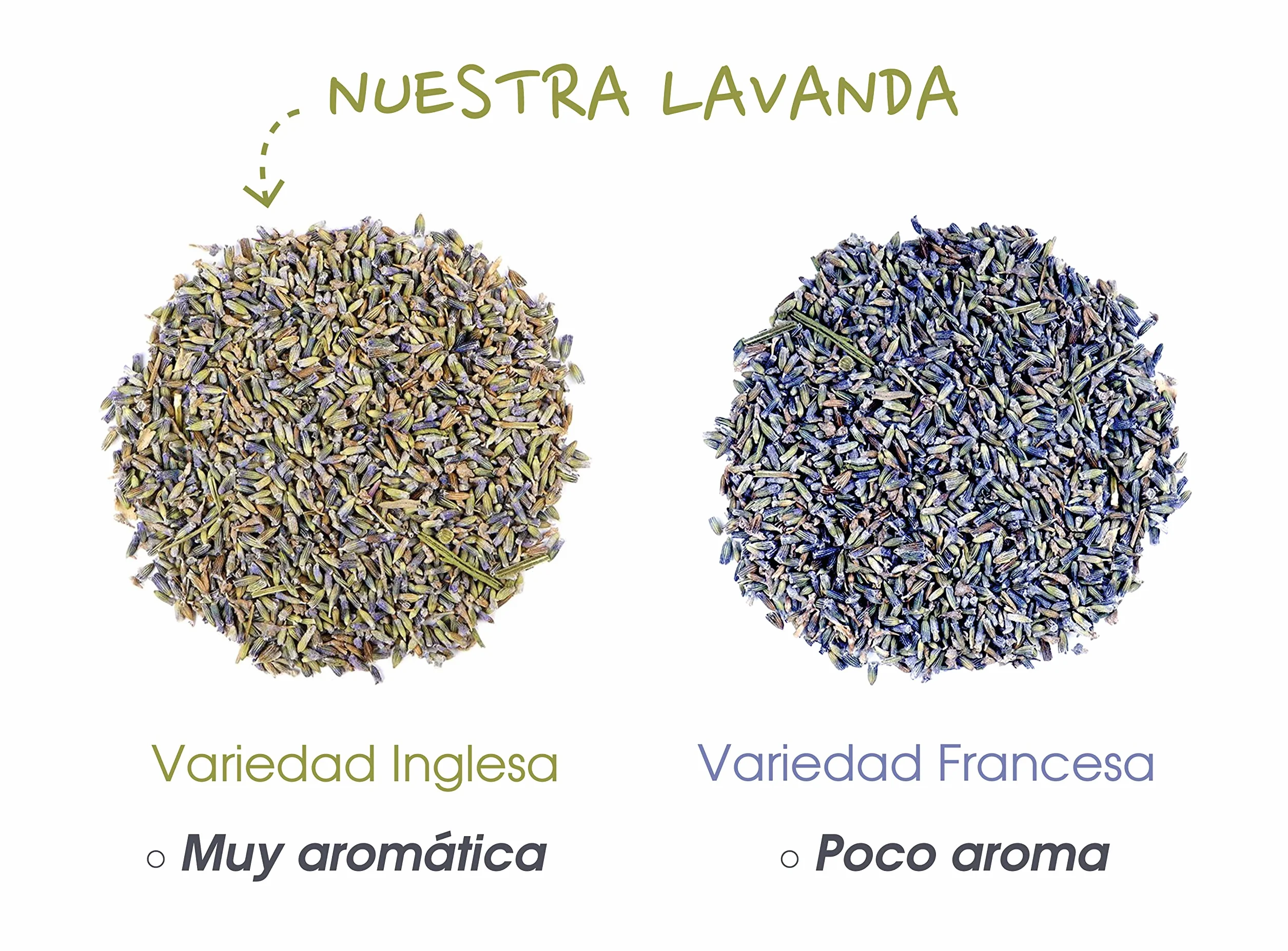Lavanda Seca Natural 200 GR Flores Secas Lavanda para Ambientador Aceite Esencial Jabones