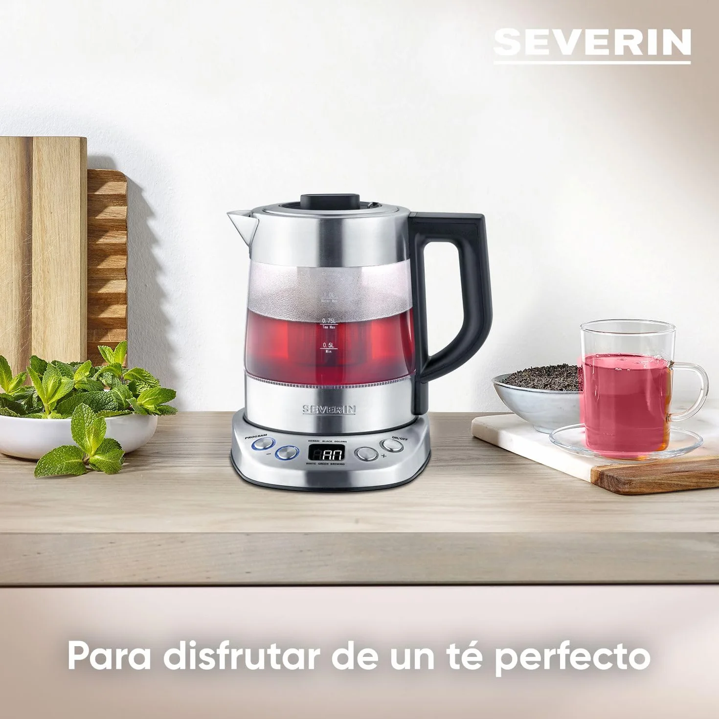 SEVERIN Tetera y hervidor de agua Deluxe Mini, tetera eléctrica de cristal para hasta 1,0 L, tetera pequeña con temperatura ajustable, color acero cepillado/negro, WK 3473