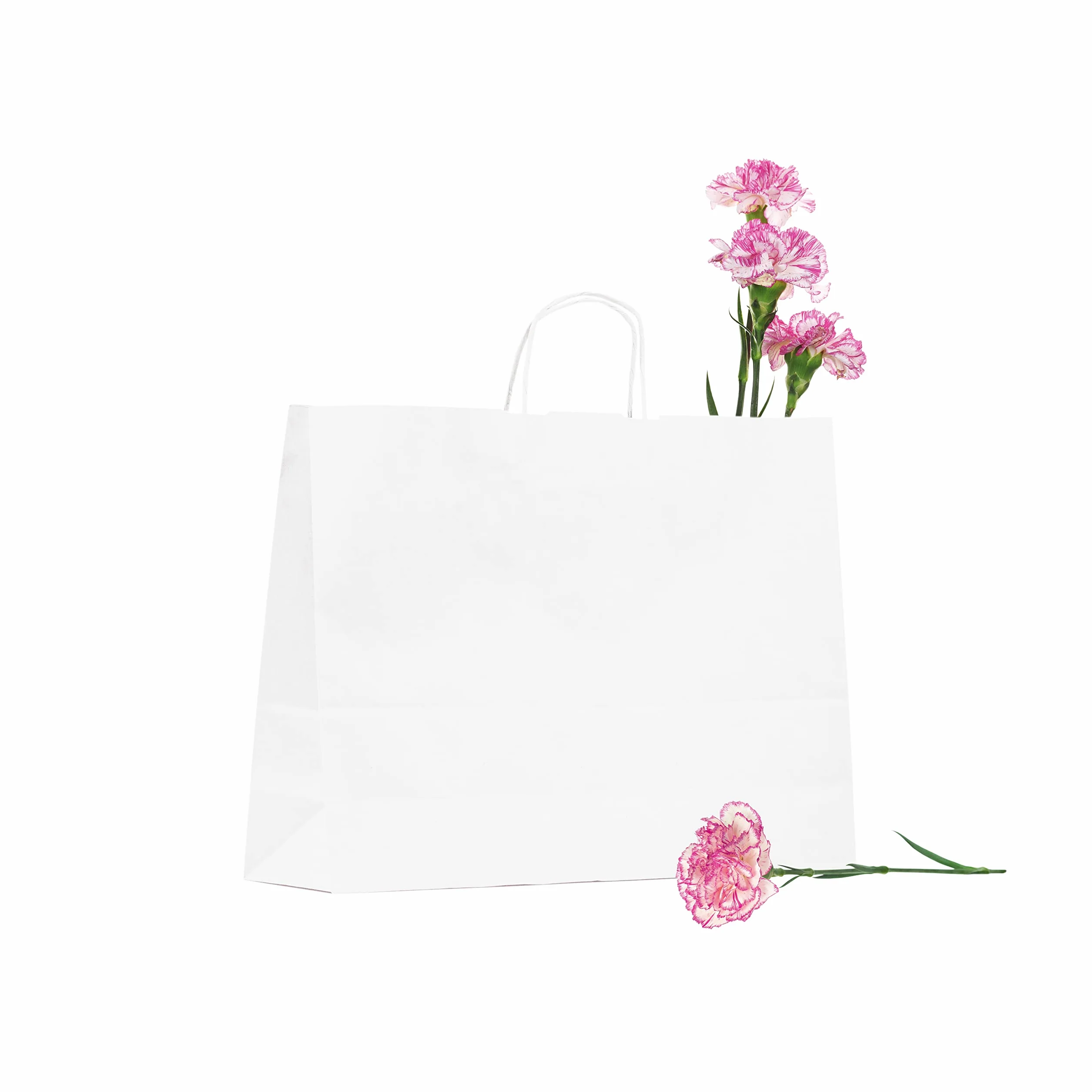 Pack 200 Bolsas de Papel Blancas con Asa – Diferentes Tamaños Según tus Necesidades – Bolsas para Eventos, Regalos o Tiendas - 100% Reciclables (Modelo Luxemburgo 41x32x12cm)