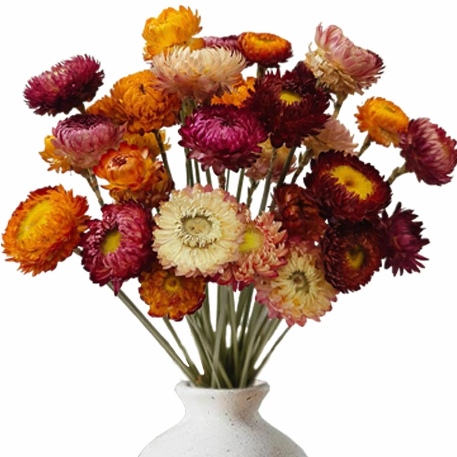 Flores Secas Naturales, 20 Piezas Colores Mixtos Margaritas Secas para Manualidades DIY Decoracion Hogar