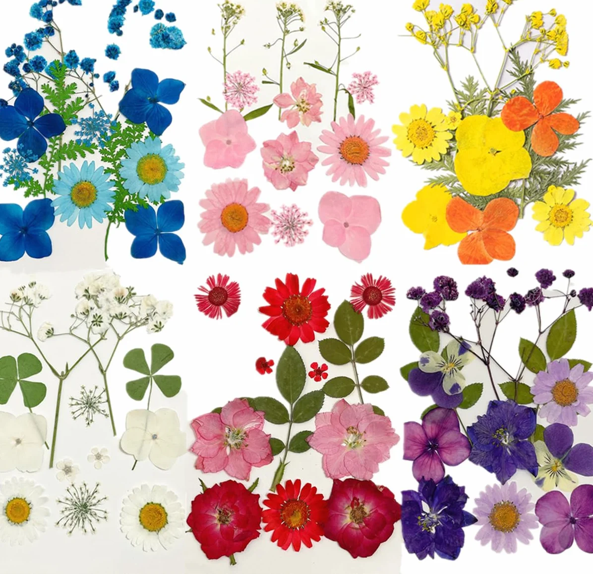 Flores Secas Naturales Mixtas 72 Piezas Kit para Resina Scrapbooking DIY
