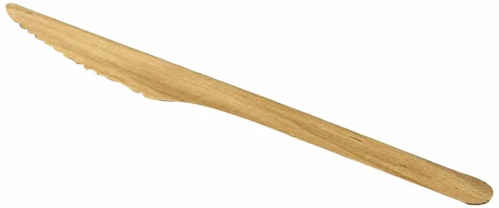 Plastico CD902 - Cuchillo de madera (100 unidades)