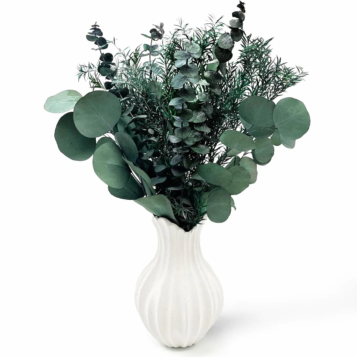 Flores secas preservadas de eucalipto real, tallos y ramas, 3 tipos, arreglos florales