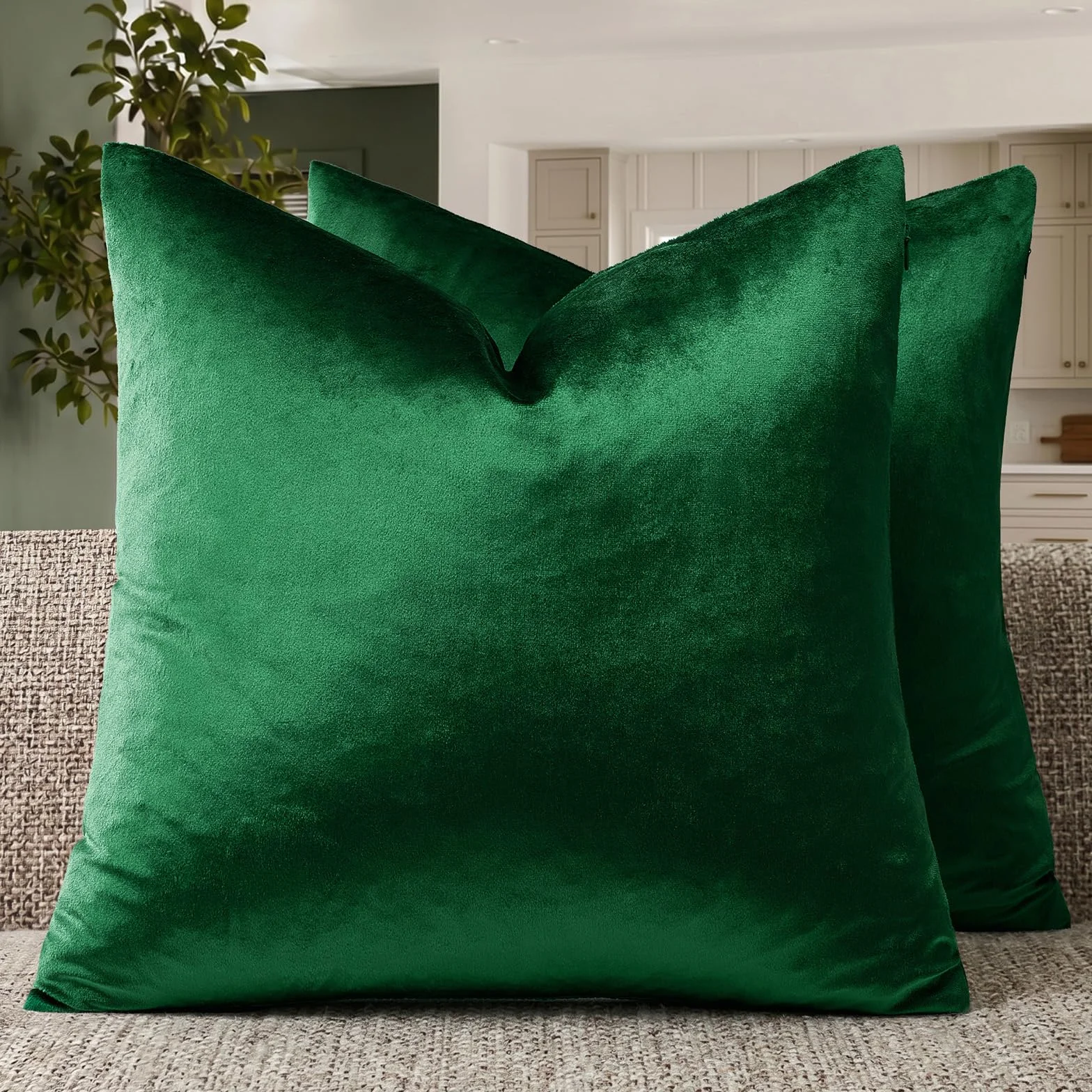 GIGIZAZA - Juego de 2 fundas de cojín decorativas de 45 x 45 cm, fundas de cojín cuadradas de terciopelo, decoración navideña, color verde bosque
