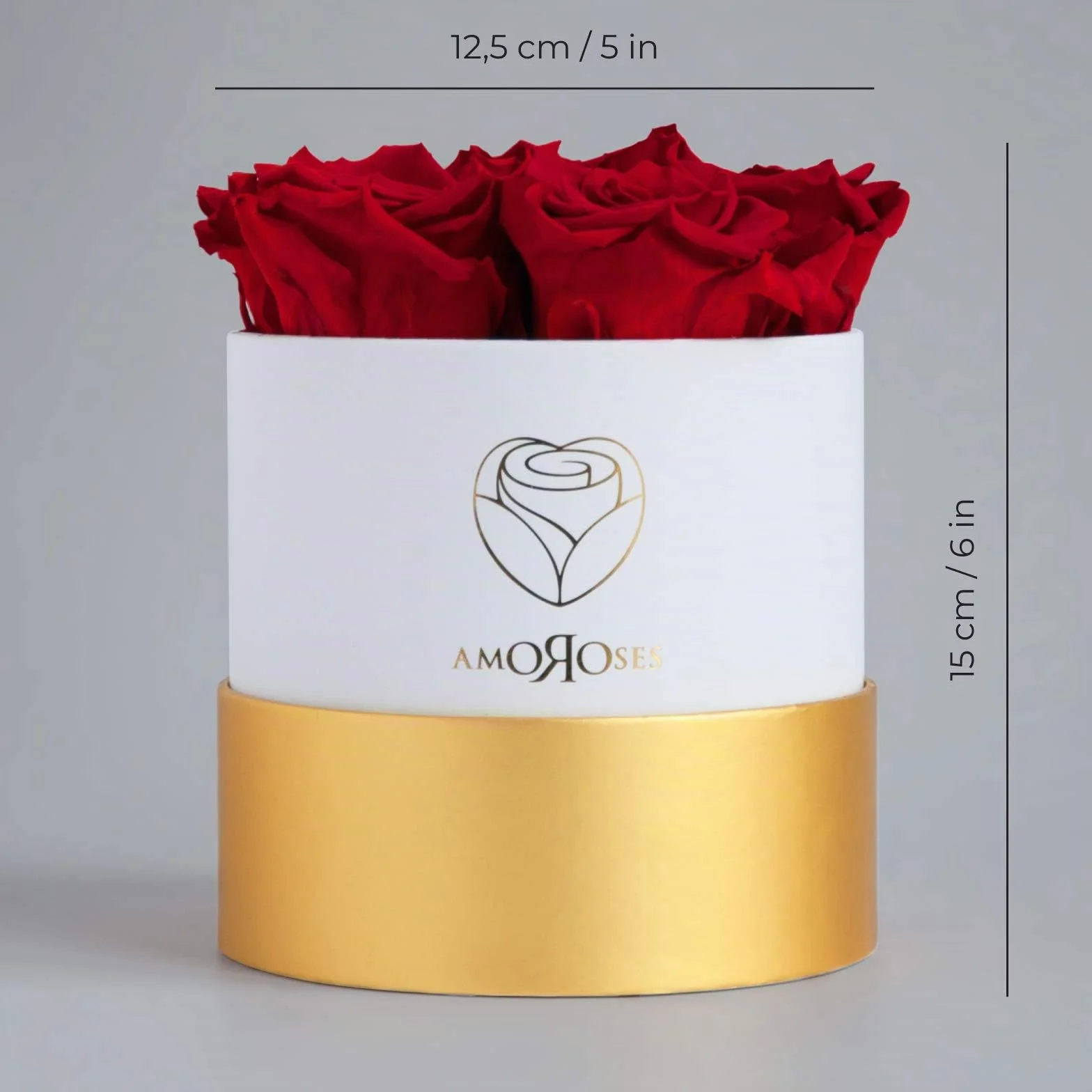 Amoroses Petite - Caja de Regalo 5 Rosas Eternas Estabilizadas - Elegante Ramo de Flores Reales | Idea de regalo (Petite Caja Blanca con Rosas Rojas)