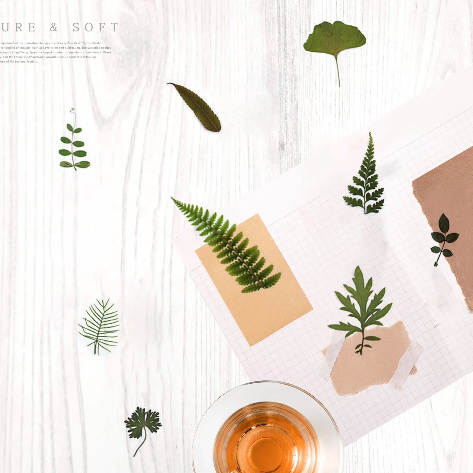 Naturales Reales Hojas Secas Prensadas de Plantas de Herbario Mezclados para Manualidades de Resina DIY Pegatinas de Uñas Adornos Decoraciones